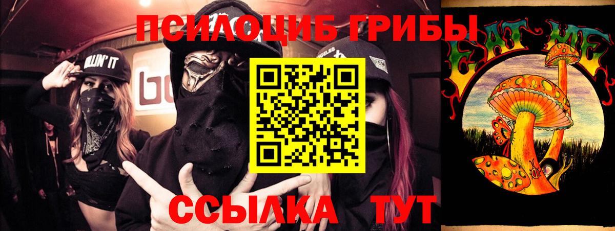 Псилоцибиновые грибы прущие грибы  Жигулёвск 